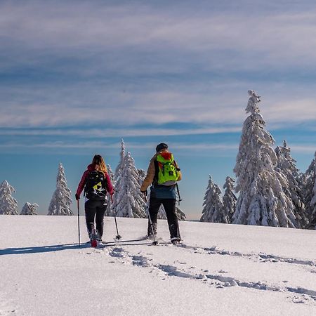 Schwarzwaldhorst Fewo 2 - Mit 4 Schlafzimmer - Todtnau, Liftverbund Feldberg Exteriör bild