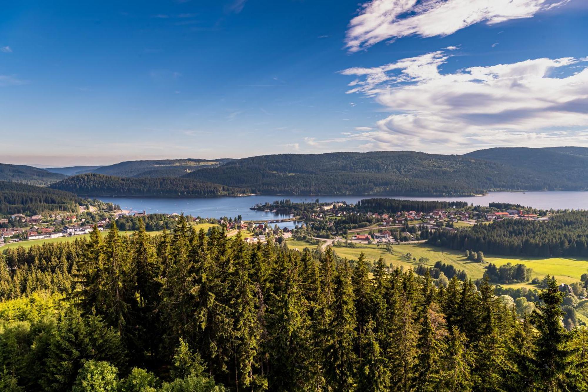Schwarzwaldhorst Fewo 2 - Mit 4 Schlafzimmer - Todtnau, Liftverbund Feldberg Exteriör bild