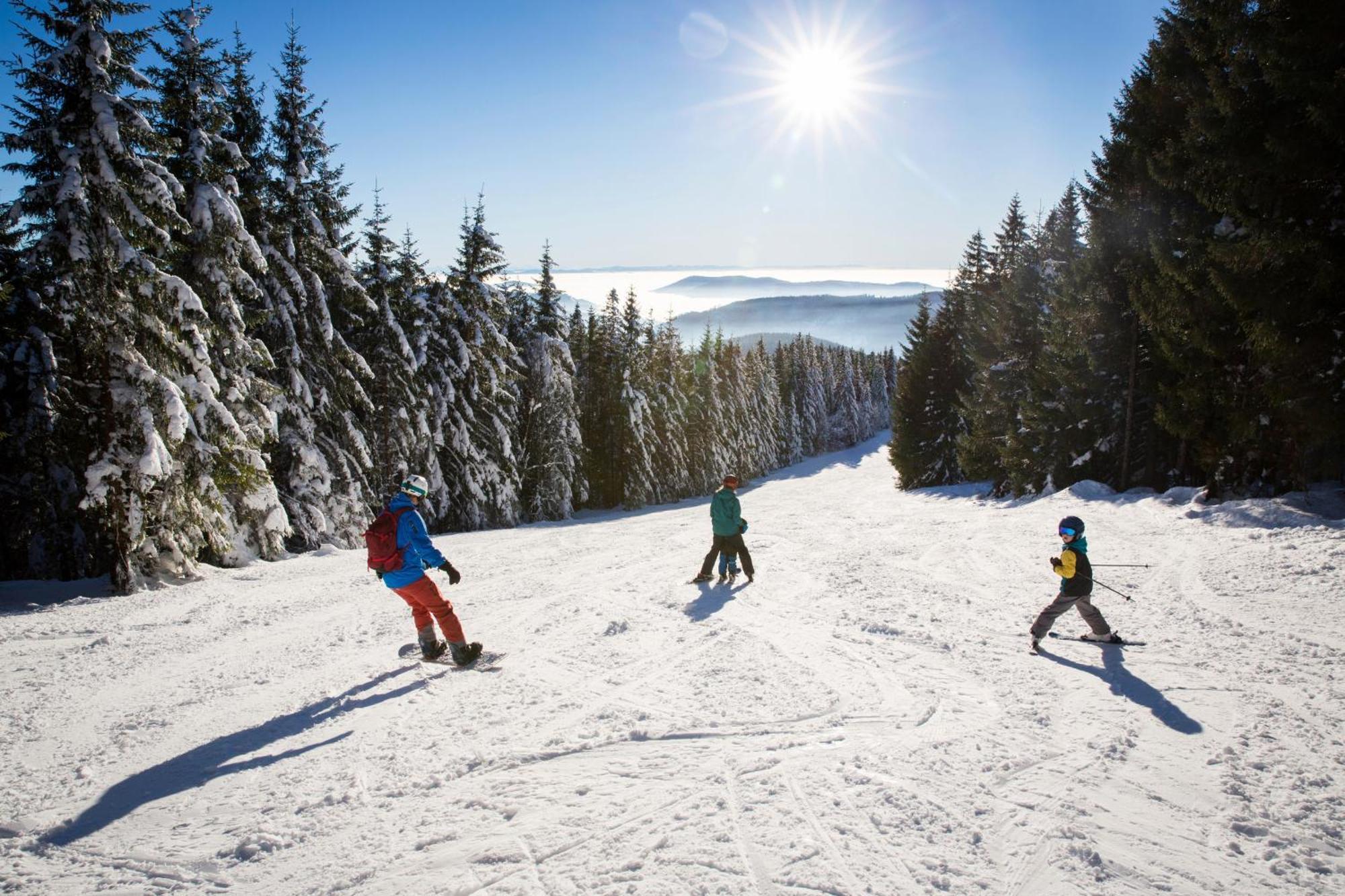 Schwarzwaldhorst Fewo 2 - Mit 4 Schlafzimmer - Todtnau, Liftverbund Feldberg Exteriör bild