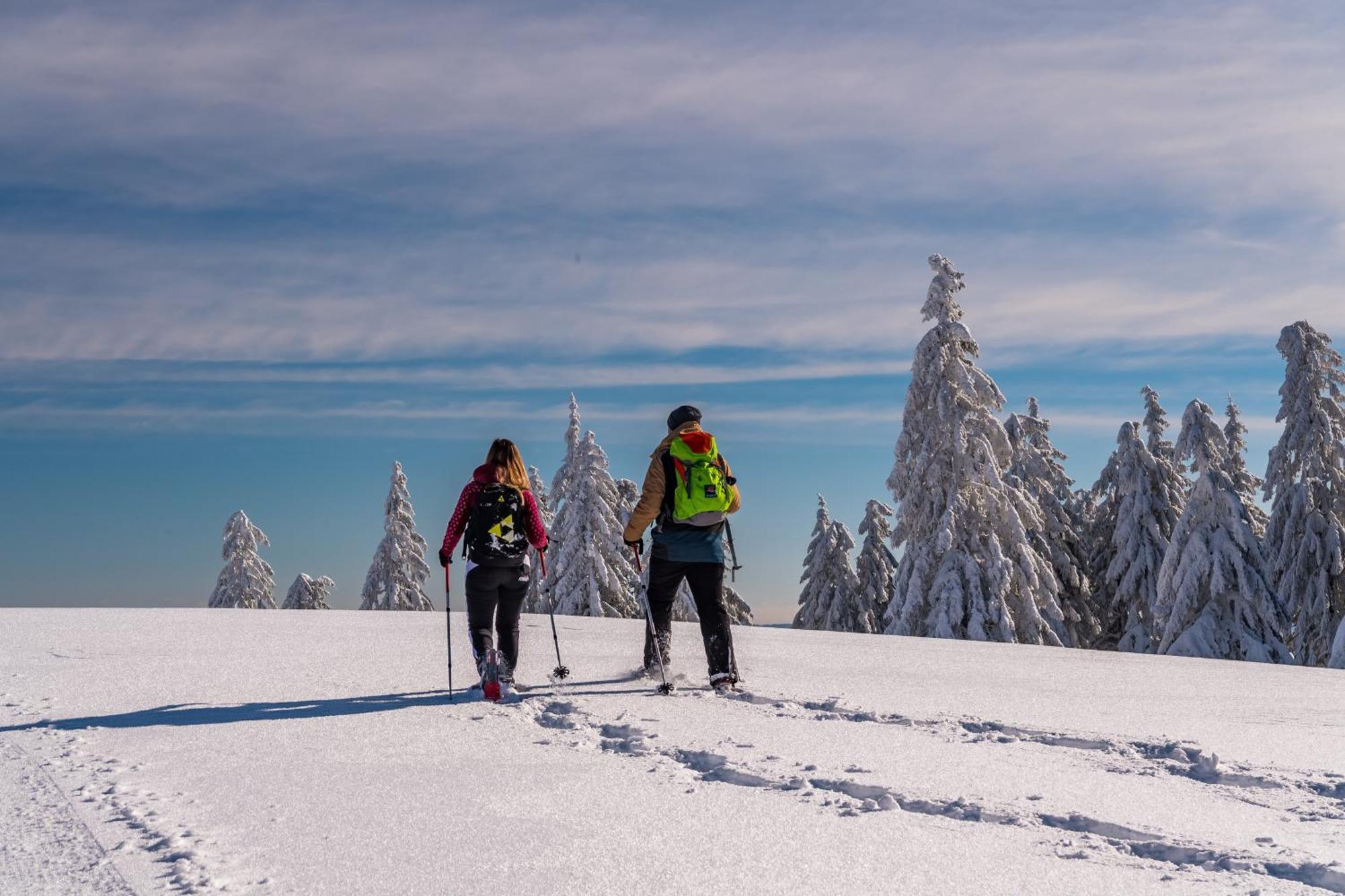 Schwarzwaldhorst Fewo 2 - Mit 4 Schlafzimmer - Todtnau, Liftverbund Feldberg Exteriör bild